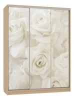 Бассо 7-600 розы (полки слева) дуб сонома