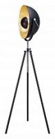 Торшер Lussole Sherrelwood GRLSP-9824 фото Торшер Lussole Sherrelwood GRLSP-9824. Фото №1