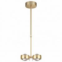 Светильник на штанге Odeon Light Ottico 3874/20L фото Светильник на штанге Odeon Light Ottico 3874/20L. Фото №1