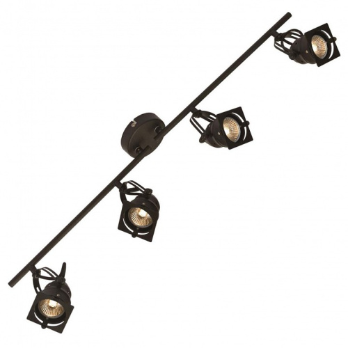 Спот Lussole Denver GRLSP-9119. Фото №1