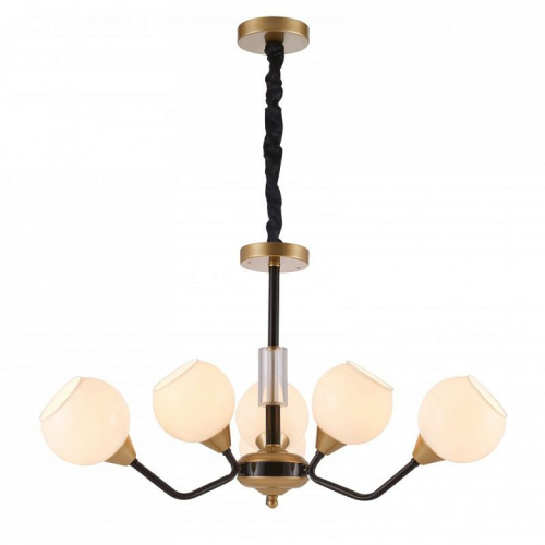 Подвесная люстра Favourite Germen 2550-6P. Фото №2