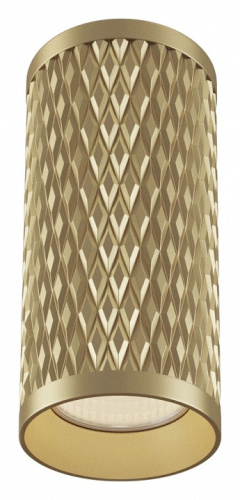 Накладной светильник Maytoni Focus Design C036CL-01G. Фото №1