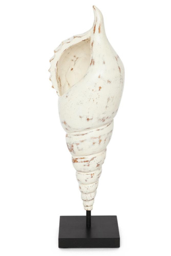 Декор- ракушка Secret De Maison Shell (MA-1398) (Античный белый). Фото №1