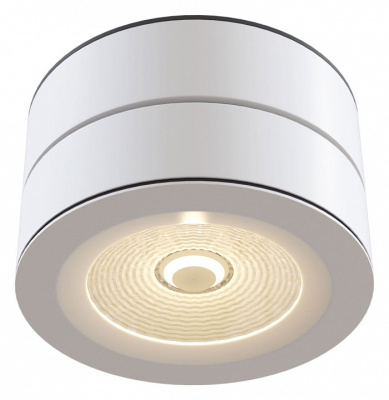 Накладной светильник Maytoni Treviso C023CL-L20W. Фото №2