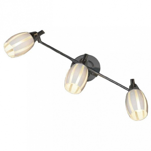 Спот Lussole Brindidi GRLSX-6701-03. Фото №1