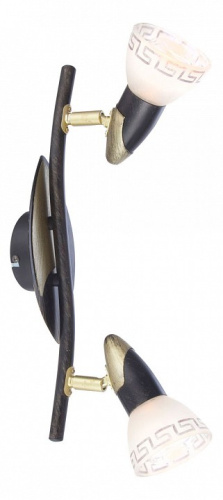 Спот Globo Novara 5449-2. Фото №1