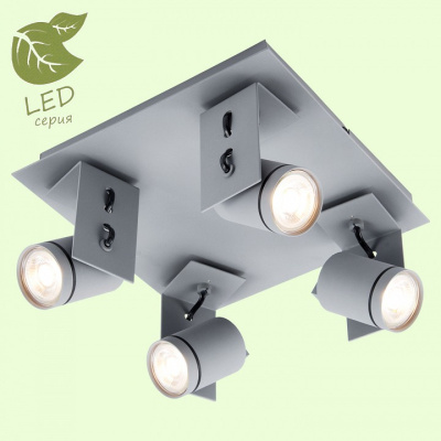 Спот Lussole Dillingham GRLSP-8024. Фото