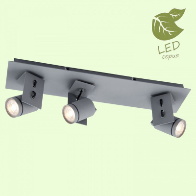 Спот Lussole Dillingham GRLSP-8023. Фото