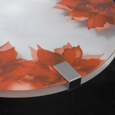 Накладной светильник Lussole Cascano LSN-5252-01. Фото