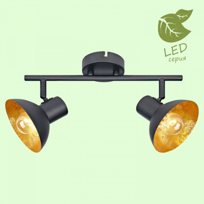 Спот Lussole Louisville GRLSP-9974. Фото