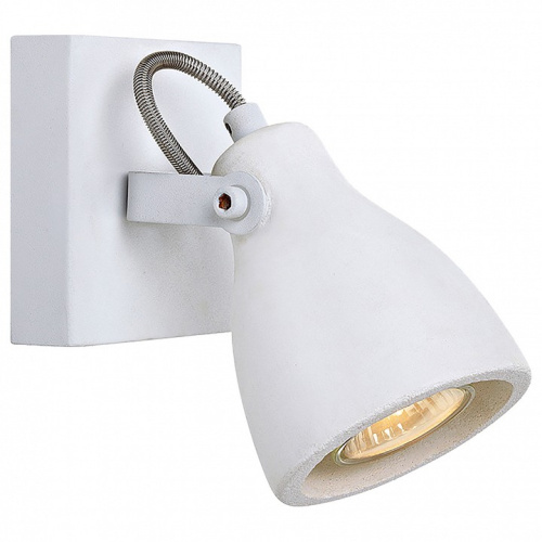 Спот Lussole Fort Collins GRLSP-9822. Фото №1